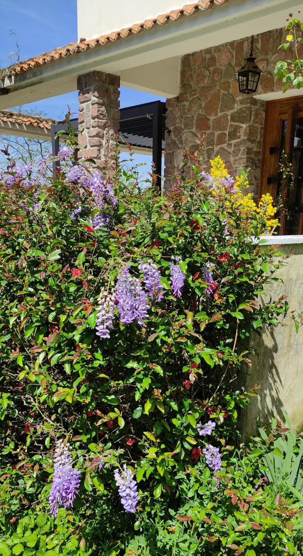 13 Bees Panzió Confolens Kültér fotó