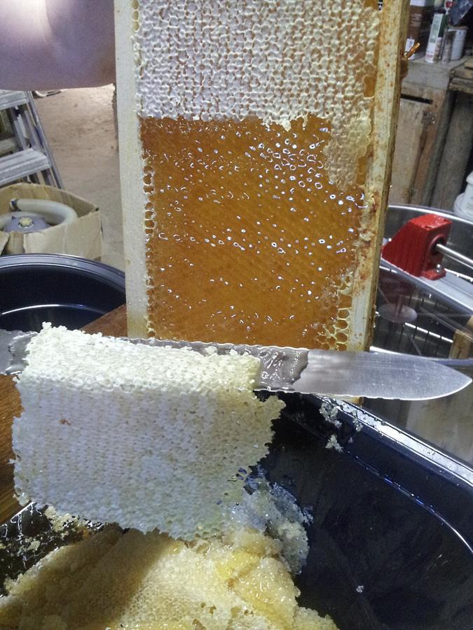 13 Bees Panzió Confolens Kültér fotó