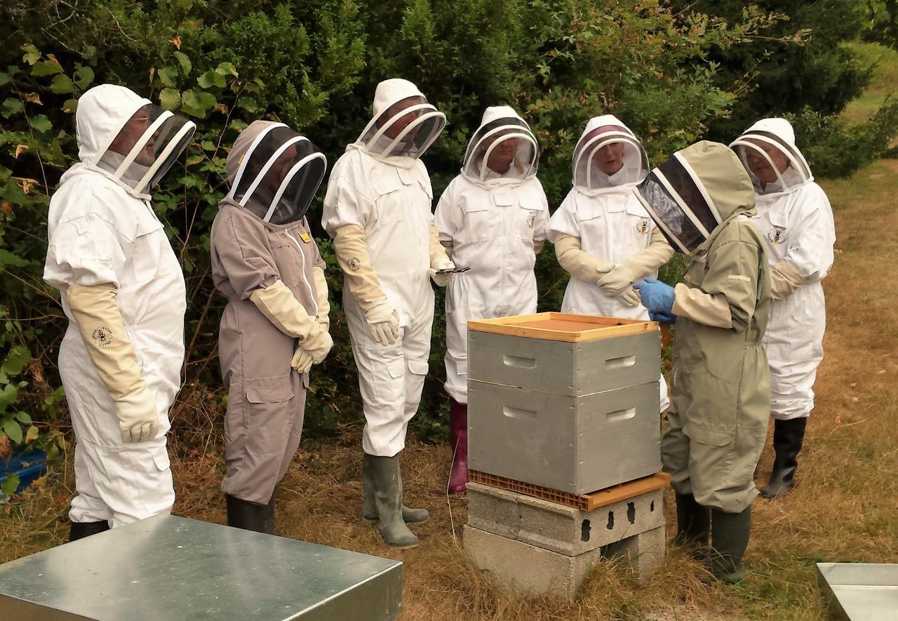 13 Bees Panzió Confolens Kültér fotó