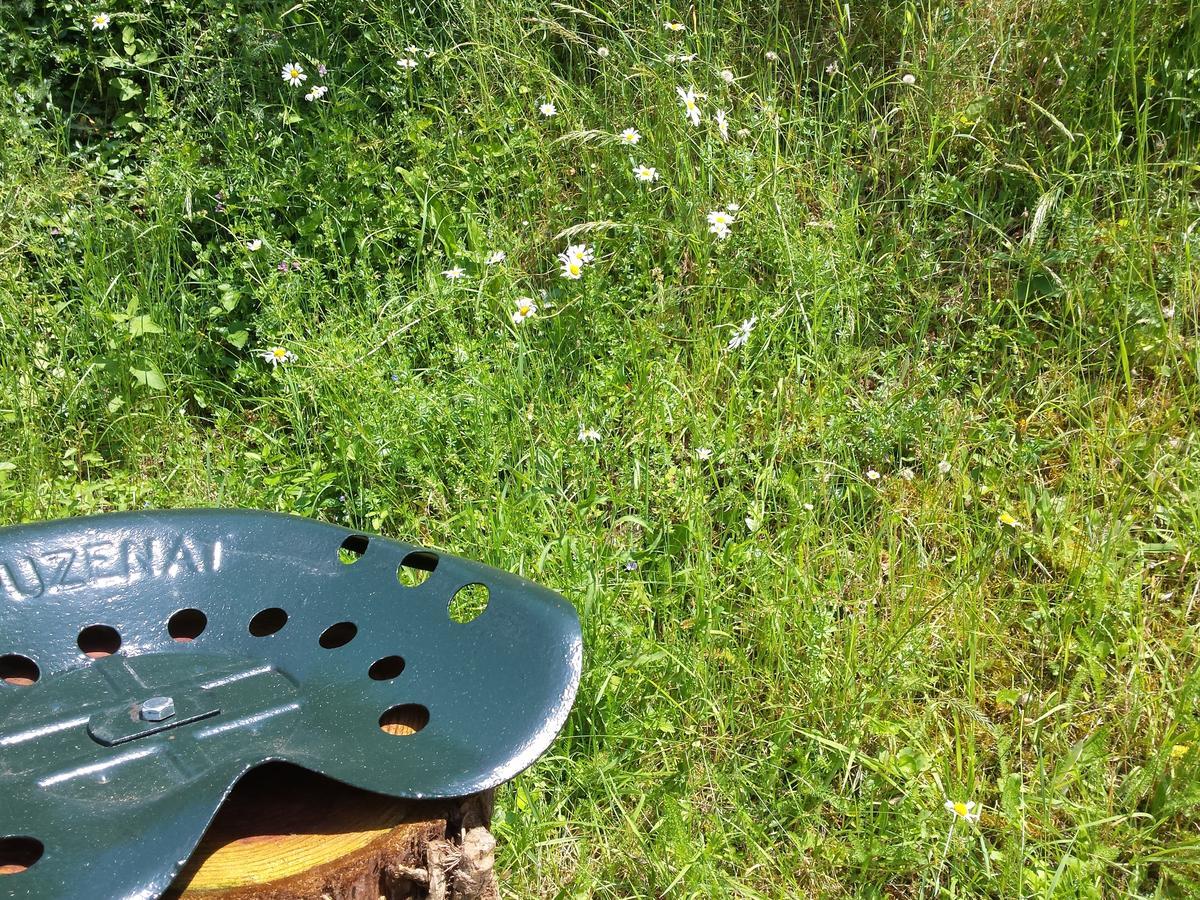 13 Bees Panzió Confolens Kültér fotó